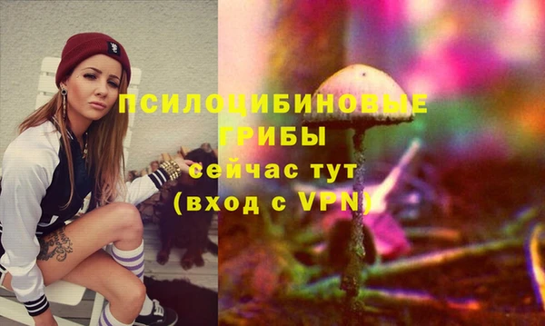 скорость Баксан