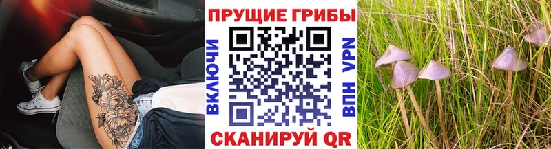 Псилоцибиновые грибы Psilocybine cubensis  купить наркоту  Беслан 